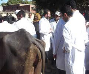   مصر اليوم - جامعة القناة تشارك في مؤتمر هندسة الأغذيّة في دبي